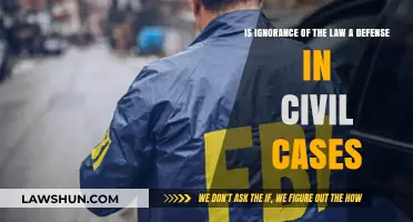 Ignorance of the Law: A Defense in Civil Cases?