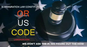 Immigration Law: Constitutional or U.S. Code?