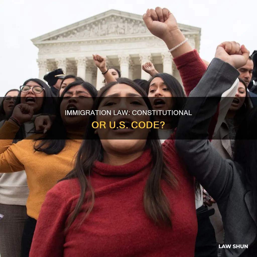 is immigration law constitutional or us code