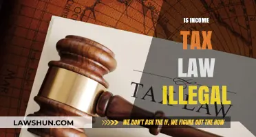 Income Tax Law: Unconstitutional?