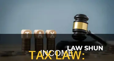 is income tax law illegal