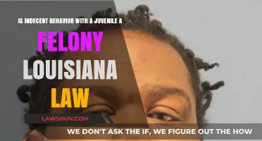 Indecent Behavior with Juveniles: Louisiana Felony Laws Explained