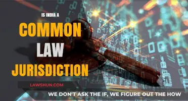 Common Law in India: A Hybrid Jurisdiction