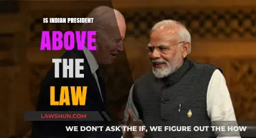The Indian President: Beyond the Law's Reach?