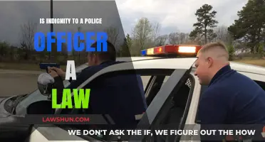 Is Indignity to a Police Officer a Law? Exploring Legal Boundaries