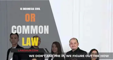 Civil or Common Law: Indonesia's Legal System Explored
