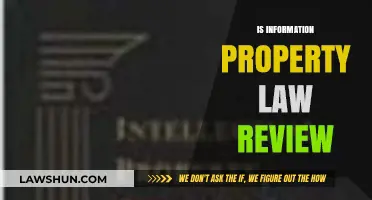 Is Information Property? A Critical Law Review Analysis