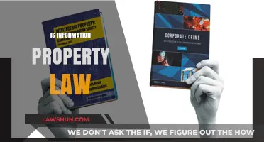 Is Information Property? Exploring Legal Ownership in the Digital Age
