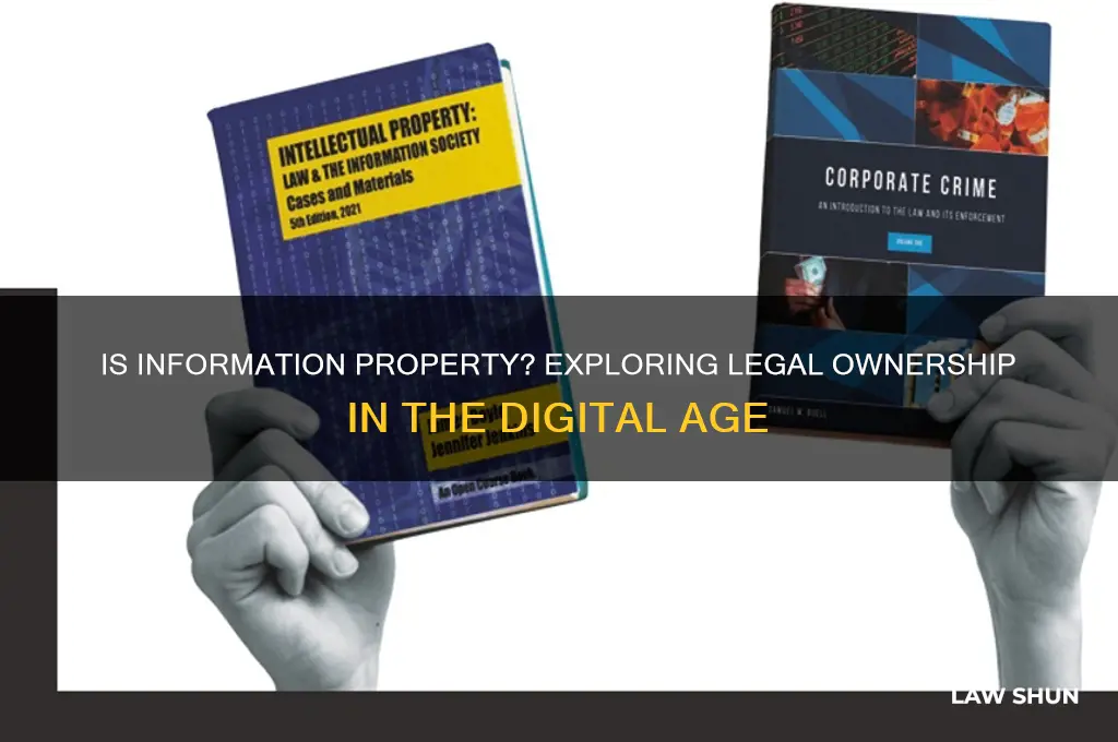 is information property law