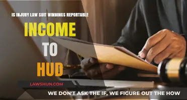 Are Injury Lawsuit Winnings Considered Reportable Income for HUD?