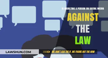 Is Online Insulting Illegal? Understanding Social Media Defamation Laws