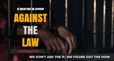 Is Insulting an Officer Illegal? Understanding Free Speech Limits