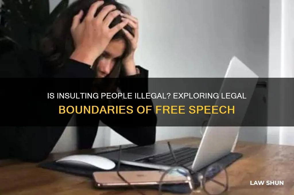 is insulting people against the law