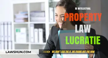 Is Intellectual Property Law a Lucrative Career Path? Exploring Opportunities
