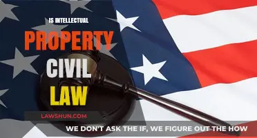 Intellectual Property: Civil Law Frameworks and Legal Protections Explained