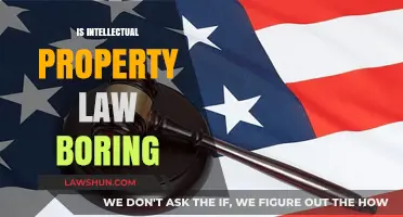 Is Intellectual Property Law Boring? Unraveling the Myths and Realities