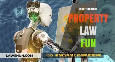 Is Intellectual Property Law Fun? Exploring the Creative Side of IP