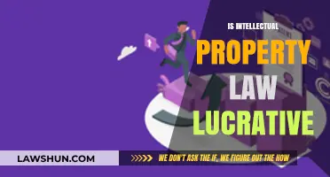 Is Intellectual Property Law a Profitable Career Path? Exploring Earnings and Opportunities