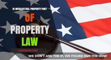 Intellectual Property: Its Legal Standing in Property Law Explained