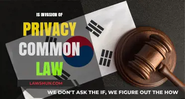 Privacy Intrusions: Common Law's Role