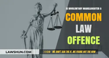Manslaughter Law: Common or Statutory?