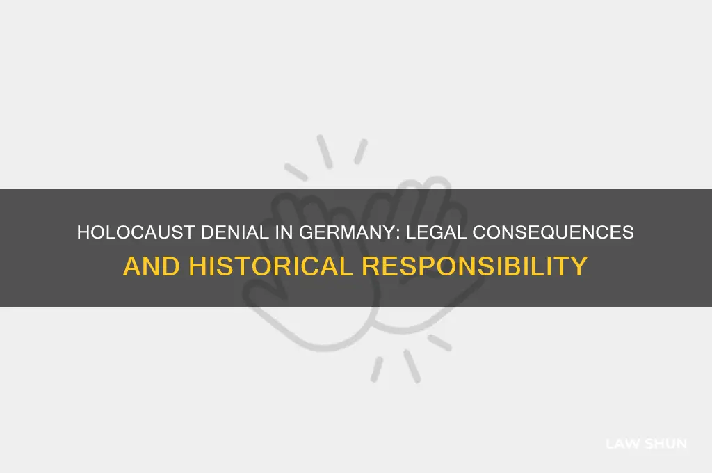 is ir illegal under german law to deny the holocaust