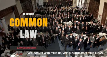 Ireland's Legal System: Common Law or Not?
