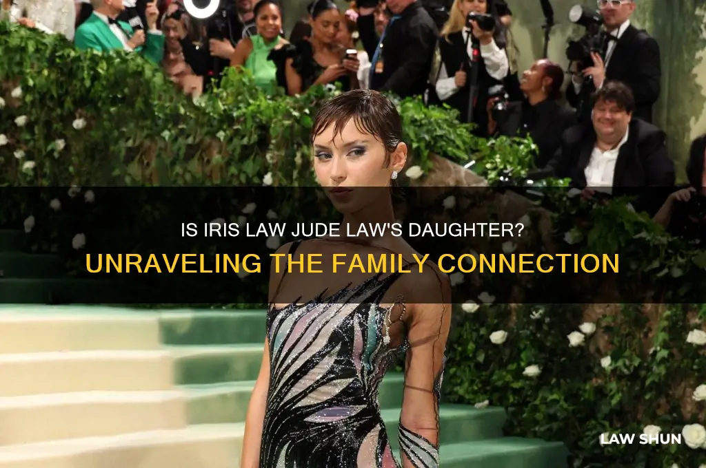 is iris law jude law
