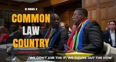Israel's Legal System: Common or Civil Law?