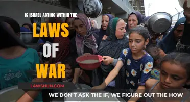 Israel's Warfare Conduct: Adhering to International Laws or Overstepping?
