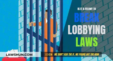 Breaking Lobbying Laws: Felony or Misdemeanor?