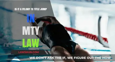 Is Title Jumping a Felony in My State? Legal Insights