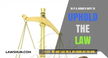 Upholding Justice: A Judge's Duty to the Law Explored