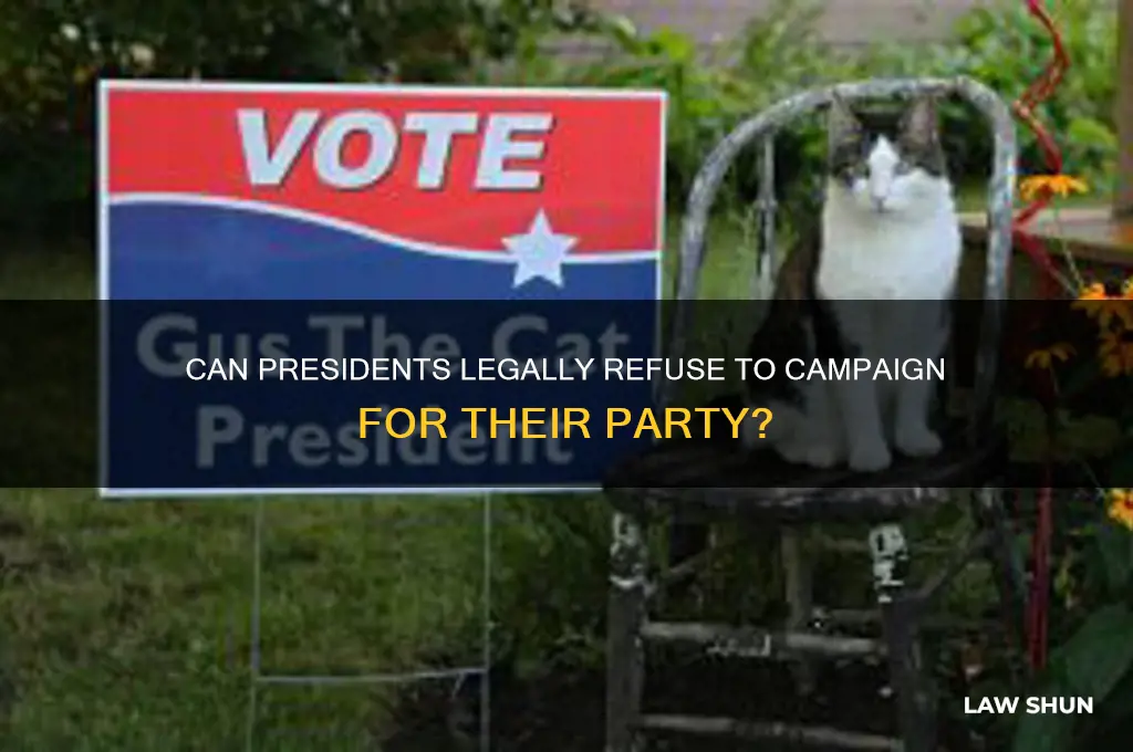 is it a law a president not to help campaigning