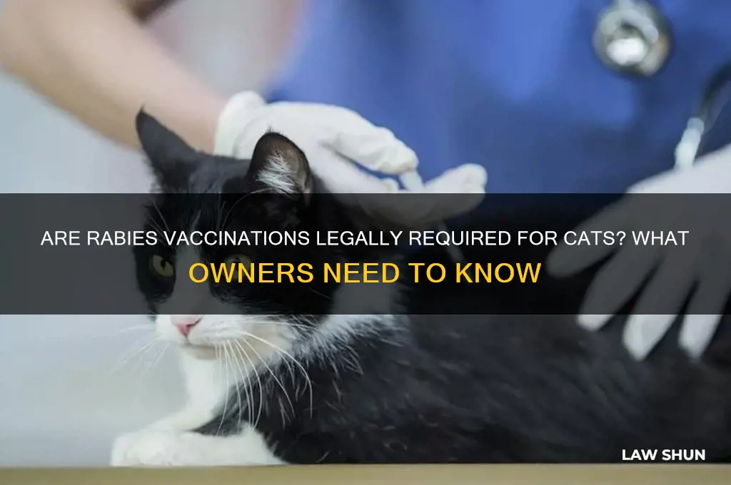 is it a law for cats to have rabies shots