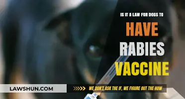 Rabies Vaccine for Dogs: Legal Requirement or Owner's Choice?