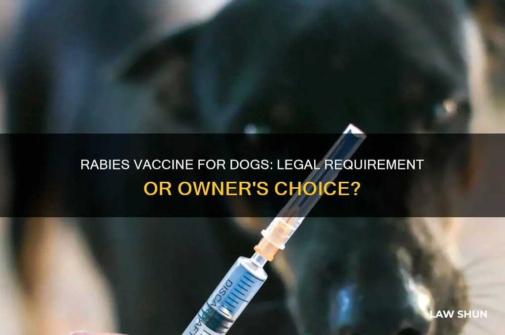 is it a law for dogs to have rabies vaccine