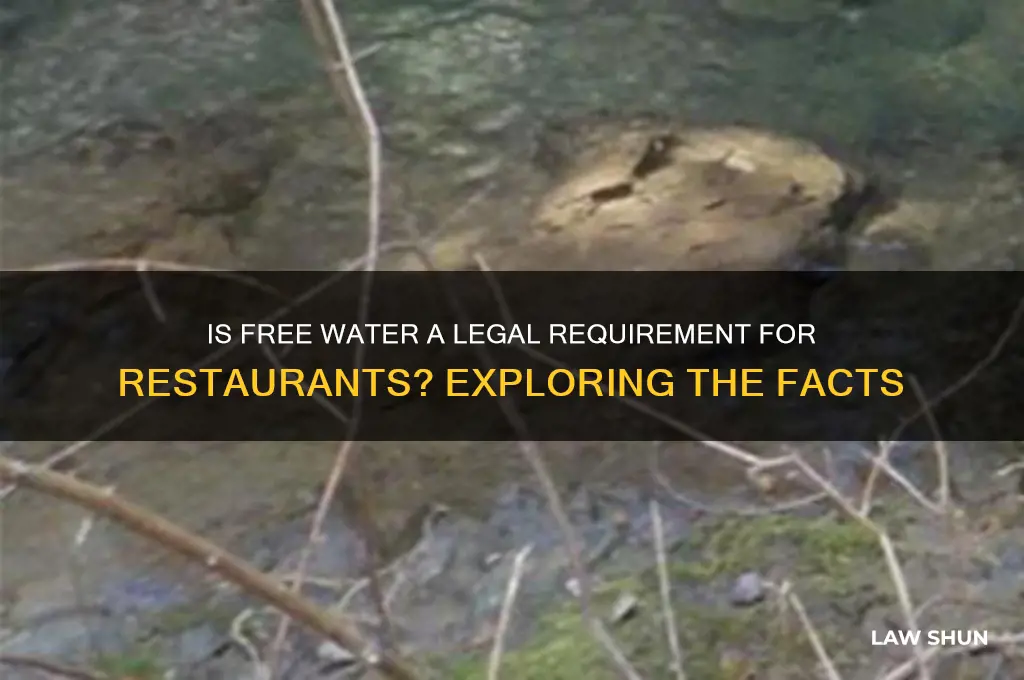 is it a law for restaurants to give free water