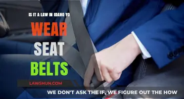 Idaho Seat Belt Laws: Mandatory or Optional? What You Need to Know
