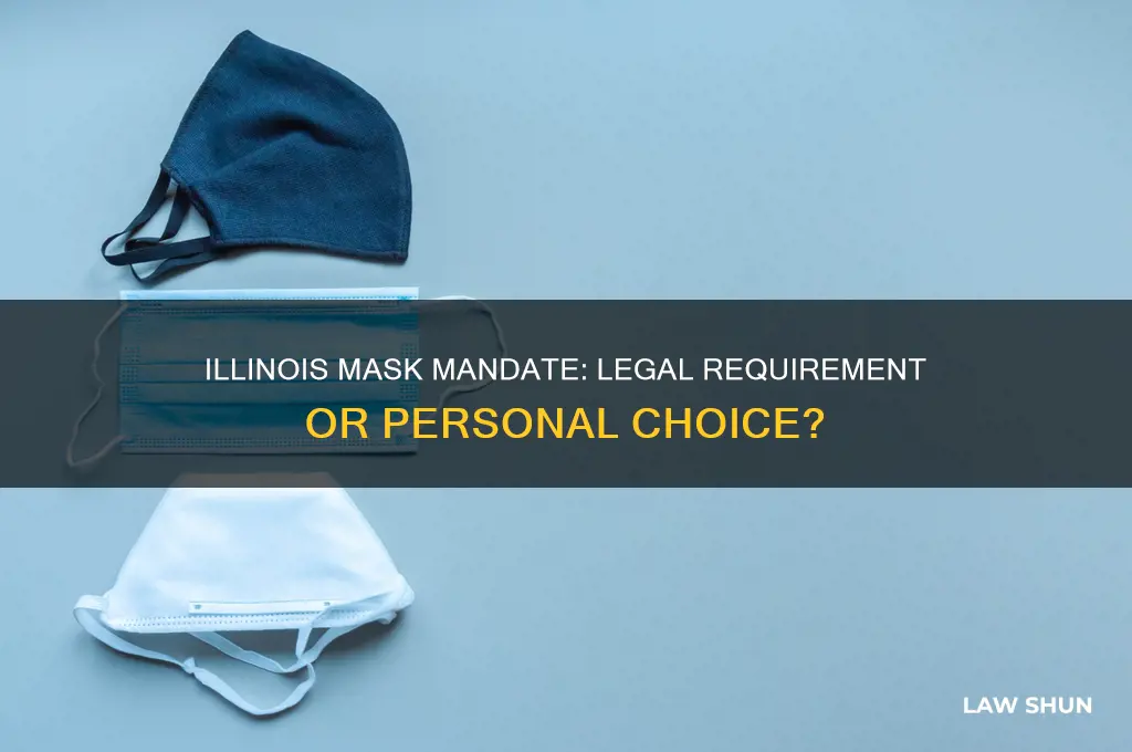 is it a law in illinois to wear a mask