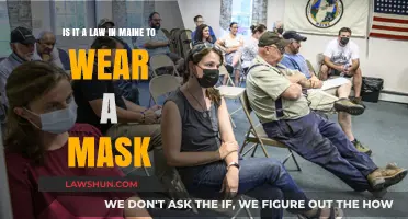 Is Mask-Wearing Mandatory in Maine? Understanding the Current Laws
