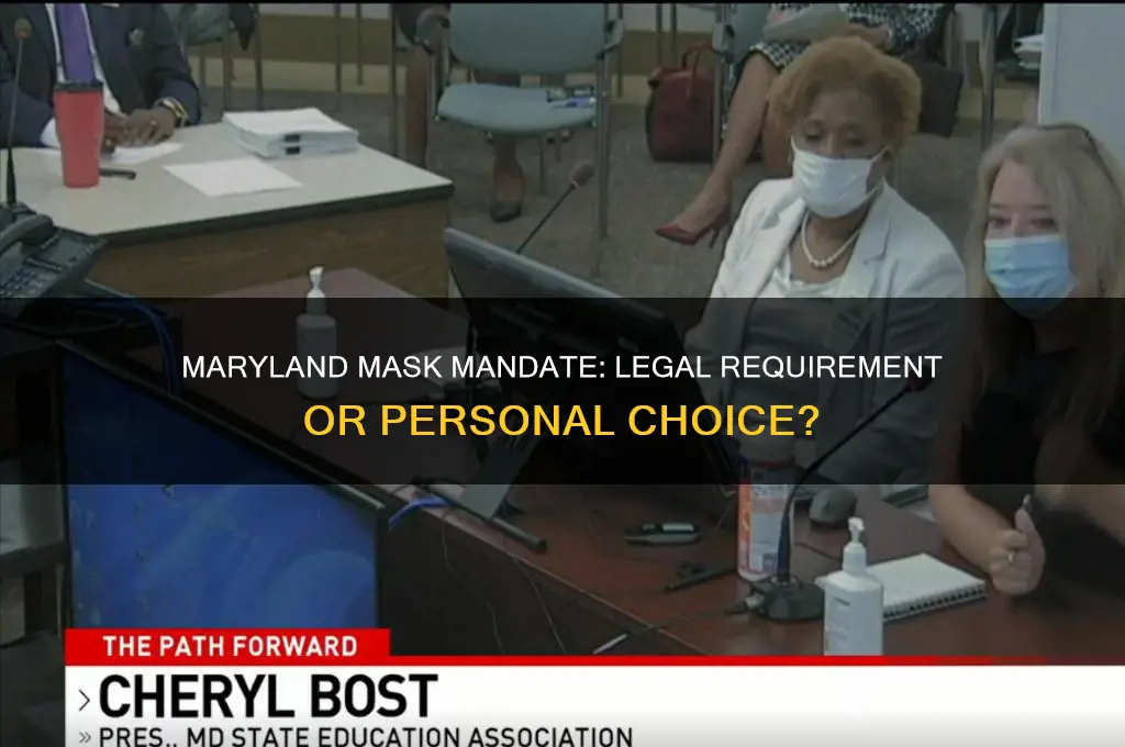 is it a law in maryland to wear a mask