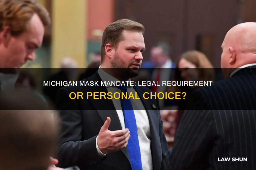is it a law in michigan to wear a mask