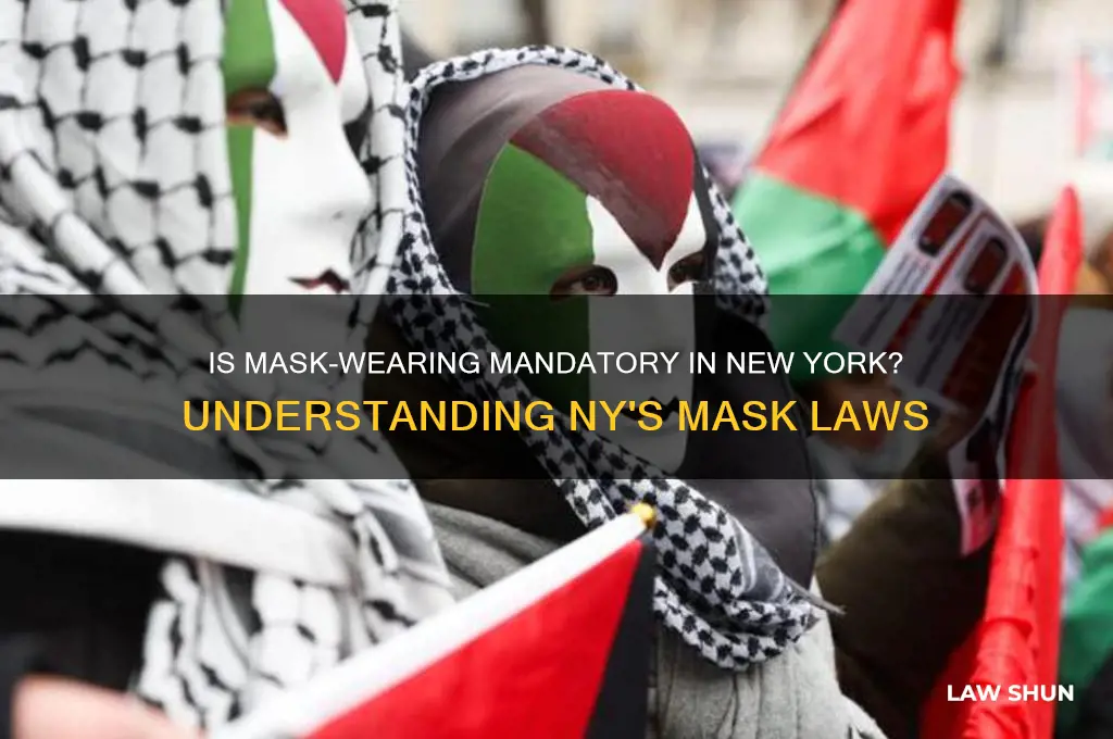 is it a law in ny to wear a mask