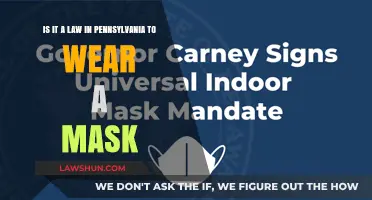 Pennsylvania Mask Mandate: Legal Requirement or Personal Choice?