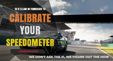 Tennessee Speedometer Calibration: Legal Requirement or Optional Maintenance?