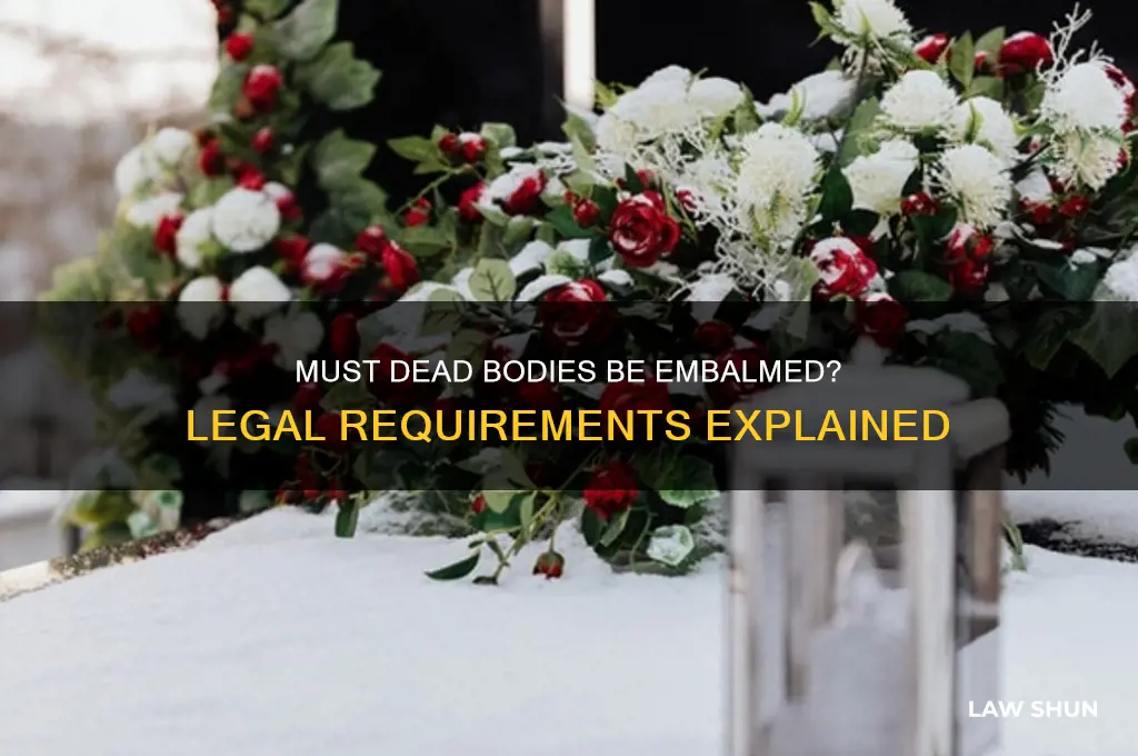 is it a law that dead bodies must be inbombed