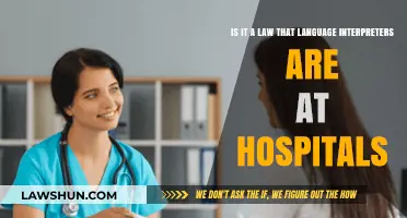 Are Language Interpreters Legally Required in Hospitals? Exploring the Law