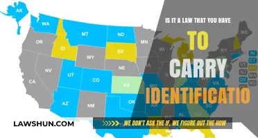 Do You Legally Need to Carry ID? Understanding Identification Laws