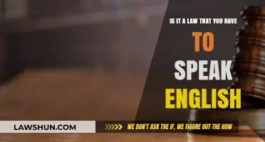 Is Speaking English a Legal Requirement? Exploring Language Laws and Rights